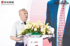 出“客堂地板”的品类概念
